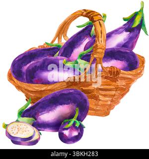 Aquarell helle Auberginen oder Auberginen in einem braunen Korb, isoliert auf weiß. Botanische Illustration des Gemüses. Herbsternte. Frisches Gemüse Stockfoto
