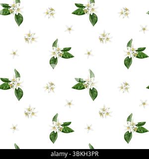 Nahtloses Muster mit weißen Orangenblüten und Blütenständen. Kleine weiße, orangene Blüten. Blätter und Blütenblätter. Aquarellabbildung isoliert Stockfoto