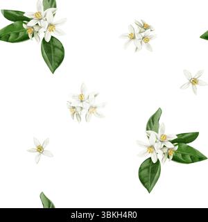 Nahtloses Muster mit weißen Orangenblüten und Blütenständen. Kleine weiße, orangene Blüten. Blätter und Blütenblätter. Aquarellabbildung isoliert Stockfoto