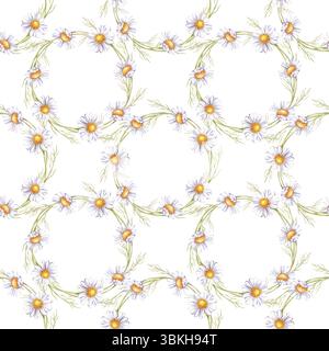 Aquarellmuster von Gänseblümchen. Blumenkränze auf weißem Hintergrund. Botanische Illustration mit weißen Wildblumen. Nahtloses Blumendesign Stockfoto