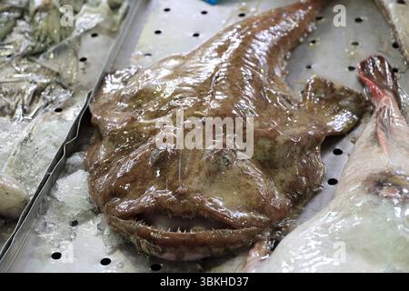 Seeteufel aus nächster Nähe an einem Stand auf dem Fischmarkt in Loulé, Portugal Stockfoto