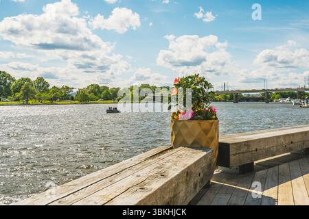 Washington D.C., USA - 24. Mai 2025. Goldener Blumentopf am Flussufer mit Brücke und Booten im Hintergrund. Stockfoto