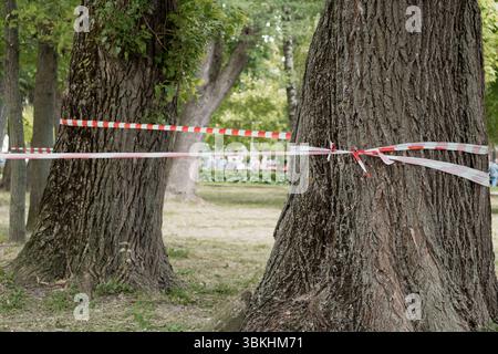 Ein Park ist mit rot-weißem Warnband abgesperrt, das zwischen Bäumen gestreckt ist und einen Tatort anzeigt, der gerade ermittelt wird, einen Tatort tagsüber, einen verschwommenen Ba Stockfoto