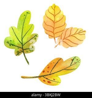 Eine Reihe von Herbstpilzen, Blättern, Beeren. Botanische Illustration mit Aquarell. Handgezeichnete Pflanzen. Isoliert auf weißem Hintergrund Stockfoto