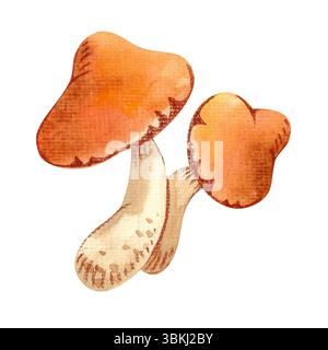 Eine Reihe von Herbstpilzen, Blättern, Beeren. Botanische Illustration mit Aquarell. Handgezeichnete Pflanzen. Isoliert auf weißem Hintergrund Stockfoto