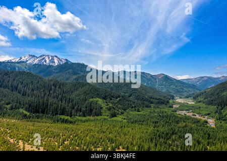Gifford Pinchot National Forest, Washington, USA - 4. Juli 2019: Ein malerischer Blick auf den Wald und die Berge, der die natürliche Schönheit der Gegend zeigt. Stockfoto
