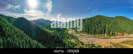 Gifford Pinchot National Forest, Washington, USA - 4. Juli 2019: Ein malerischer Blick auf den Wald mit einem Fluss durch den Wald. Stockfoto