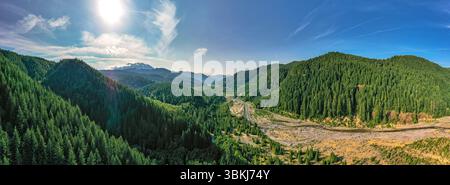 Gifford Pinchot National Forest, Washington, USA - 4. Juli 2019: Ein malerischer Blick auf den Wald mit einem Fluss durch den Wald. Stockfoto