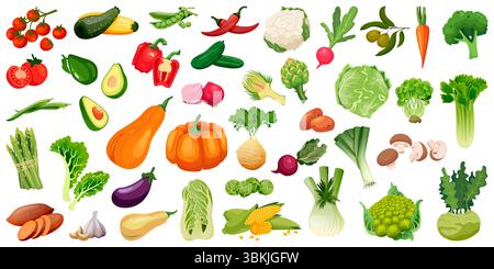 Bauernhof frisches Gemüse Set. Vektor-Veggie-Illustration. Gesunde vegane Lebensmittel, Landwirtschaft und Ernte Design Elemente. Tomaten, Karotten, Brokkoli, Zwiebeln, Knoblauch Stock Vektor