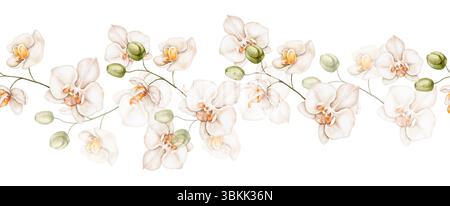 Nahtloser, wiederholbarer Rand in Aquarellfarben mit cremeweißen Orchideen mit grünen Knospen. Sanfte handgemalte Illustration, perfekt für Natur-Inspir Stockfoto