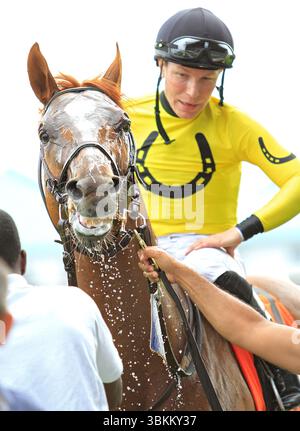 Toronto, Kanada. Juni 2025. Jockey Emma-Jayne Wilson sieht an, wie der Vollblut Wyoming Bill nach einem Sieg auf der Woodbine Racetrack in Toronto, Kanada, am 21. Juni 2025 abgekühlt wird. (Foto: Mike Campbell) Credit: NurPhoto SRL/Alamy Live News Stockfoto