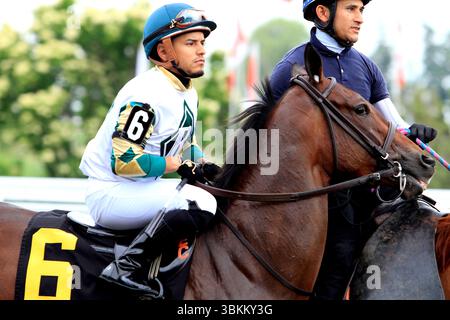 Toronto, Kanada. Juni 2025. Jockey Eric Cancel reitet mit Cervere in der Post-Parade, bevor er am 21. Juni 2025 die $100.000 Alywow Stakes von Greenwood Stakes auf der Woodbine Racetrack in Toronto, Kanada, gewann. (Foto: Mike Campbell/NurPhoto)0 Credit: NurPhoto SRL/Alamy Live News Stockfoto