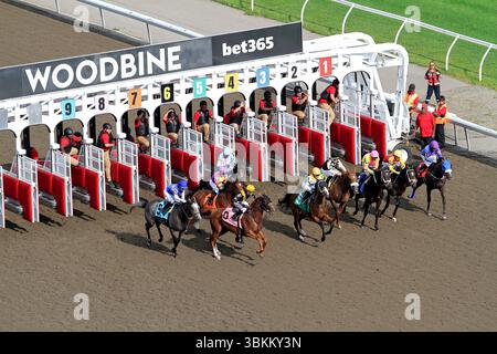 Toronto, Kanada. Juni 2025. Die Vollbreds verlassen die Tore am 21. Juni 2025 zu Beginn eines Rennens auf der Woodbine Racetrack in Toronto, Kanada. (Foto: Mike Campbell/NurPhoto)0 Credit: NurPhoto SRL/Alamy Live News Stockfoto
