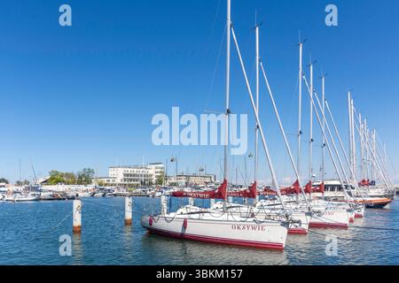 Yachten liegen in Marina Gdynia, Kamienna Góra, Stadt Gdynia, Woiwodschaft Pommern, Republik Polen Stockfoto