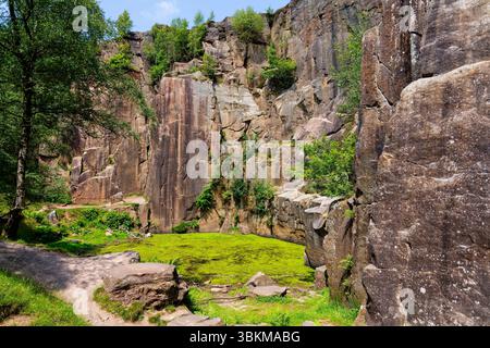Ein kleiner Teich, der mit grünen Algen bedeckt ist, befindet sich unterhalb der Felswände in einem stillgelegten Grausteinbruch in Derbyshire. Stockfoto