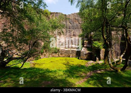 Hellgrüne Algen bedecken einen kleinen Teich unter der Felswände im Bole Hill Quarry, Hope, Derbyshire. Stockfoto