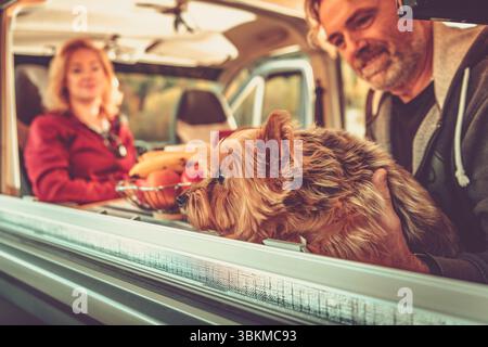 Eine Familie entspannt sich in einem Minibus und macht ein Picknick mit frischem Obst, während ihr australischer Silky Terrier neugierig aus dem Fenster blickt, wenn es warm ist Stockfoto