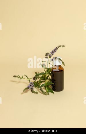 Flasche ätherisches Öl mit frischer Pfefferminze auf beigefarbenem Hintergrund. Naturkonzept. Stockfoto