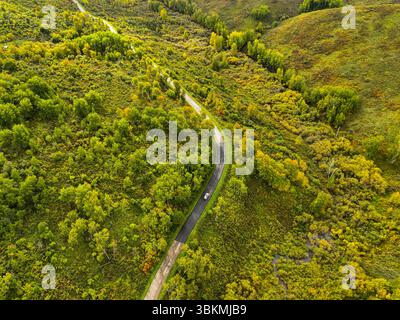 Ein weißer Wagen aus der Vogelperspektive, der auf einer kurvenreichen Straße durch eine lebhafte Landschaft mit grünen und gelben Herbstbäumen und Hügeln fährt Stockfoto
