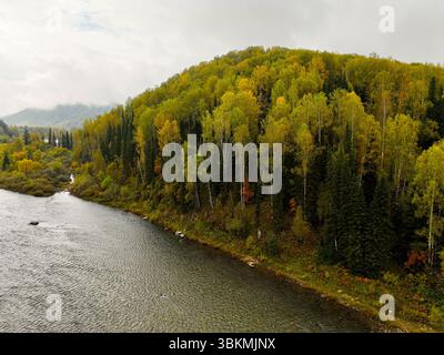 Ein breiter Fluss fließt an einem Hügel vorbei, der von lebhaften, herbstlichen Bäumen bedeckt ist, mit fernen Bergen unter einem bewölkten Himmel Stockfoto