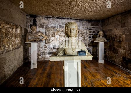 Drei Büsten im Cognac-Schloss (Château de Cognac), Rampe du Château, Cognac, Nouvelle-Aquitaine, Frankreich, stellen König François Ier (Francis I) (links), seine erste Frau Claude de France (Mitte) und seine Mutter Louise von Savoyen (rechts) dar. Die Büsten stehen auf weißen Sockeln in einem niedrigen Kellerraum mit Holzfußboden. Ein Schild an der mittleren Büste lautet „Claude de France (1499–1524)“. Reliefpaneele mit figurativen Szenen hängen an den Steinwänden. Der König galt als gutaussehend und war für seine Zeit ein großer Mann. Politisch war er nicht sehr erfolgreich: Er wurde 1525 von den Spaniern gefangen genommen und wurde freigelassen Stockfoto