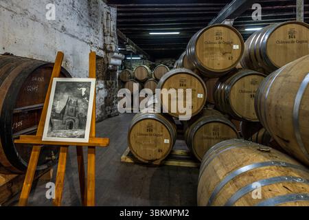 Cognac-Fässer mit der Aufschrift "Château de Cognac" und dem Jahr 2019 sind im Lagerraum des Baron Otard-Hauses im Cognac-Schloss (Château de Cognac), Rue François 1er, Cognac, Nouvelle-Aquitaine, Frankreich, gestapelt. Vorne links steht ein gerahmtes Bild auf einer hölzernen Staffelei. In dunklen Grautönen zeigt es eine Kirche mit einem Turm und einem spitzbogigen Portal unter einem bewölkten Himmel. Dahinter liegt ein älteres, dunkles Fass mit Kreidezeichnungen. Die Fassköpfe rechts tragen Zahlen, Kreidefiguren und weiße Etiketten. Der Brandy (Eau-de-Vie) muss in Limousin-Eichenfässern in der Regio gelagert werden Stockfoto