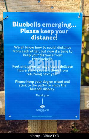 Ein Schild verlangt, dass Wanderer sich auf dem Weg halten und Hunde auf den Leads, um die Glockenblumen zu schützen, bevor sie im Frühling erscheinen, Buckinghamshire, Engand Stockfoto