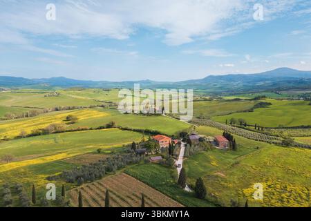 Grüne Felder erstrecken sich endlos mit gepunkteten Häusern und Weinbergen unter einem klaren blauen Himmel. Die Sonne erleuchtet die idyllische toskanische Landschaft während der warmen Jahreszeit Stockfoto