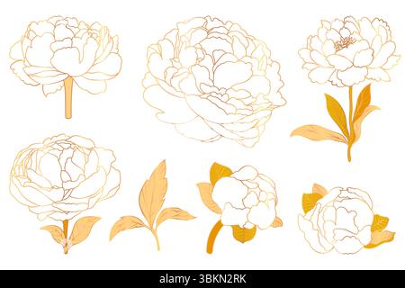 Handgezeichnete Pfingstrosenblüten, Knospen, Dämpfe und Blätter Sammlung perfekt zum Ausmalen von Seiten. Stock Vektor