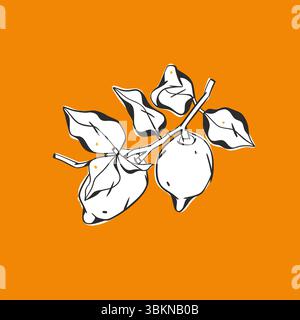 Hand gezeichnete abstrakte Vektor-grafische Illustration Sammlung mit stilisierter Zitronenzweig Frucht im Zeichentrickstil. Trendy modernes saftiges Frucht-Design Stock Vektor