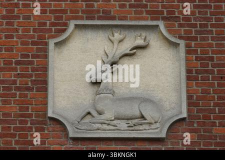 Steinrelief Skulptur eines Hirsches auf einem Backsteinmauergrund montiert. Guildford, England Stockfoto