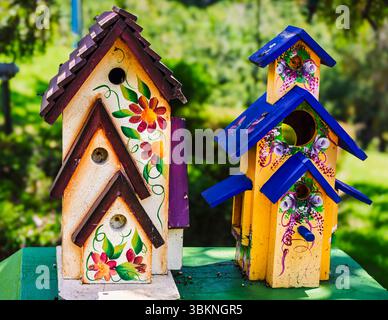 Chiriqui, Panama, 20. Mai 2014: Finca Wimsy: Kunstvolle Nester unter den Kaffeebäumen Stockfoto