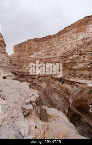 Ein felsiger Canyon mit einem bewölkten Himmel im Hintergrund. Der Canyon ist voller Felsen und hat ein sehr raues Aussehen Stockfoto