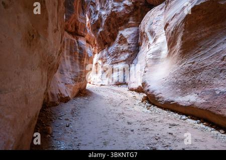 Ein schmaler Pfad schlängelt sich durch einen felsigen Canyon. Die Sonne scheint durch die Felsen und wirft Schatten auf den Boden. Der Weg ist felsig und uneben, mit La Stockfoto