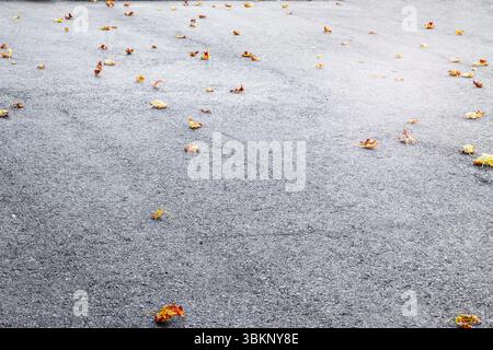 Eine graue Asphaltfläche mit einigen orangefarbenen und gelben Blättern. Stockfoto