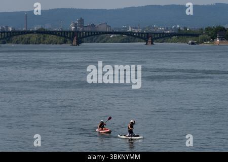 Mainz, Rheinland Pfalz, Deutschland. Juni 2025. Man fährt Stand-up-Paddleboards auf dem Rhein während einer Hitzewelle in Mainz. (Kreditbild: © Matias Basualdo/ZUMA Press Wire) NUR REDAKTIONELLE VERWENDUNG! Nicht für kommerzielle ZWECKE! Stockfoto