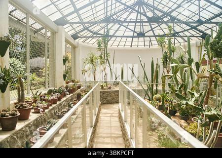 Gewächshaus mit verschiedenen Kaktusarten und tropischen Pflanzen mit Glasdach im Royal Botanical Garden Peradeniya in Kandy, Sri Lanka Stockfoto