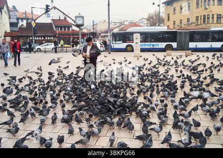 Sarajevo, Bosnien - 2. Dezember 2022: Eine lebhafte Menge von Tauben versammelte sich auf einem geschäftigen Stadtplatz und zeigte ihre lebhaften Interaktionen Stockfoto