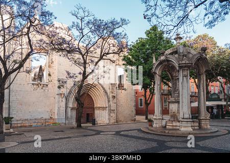 Wunderschöner Blick auf die Ruinen des Klosters Carmo und den kunstvollen Steinbrunnen auf einem ruhigen Platz von Lissabon, eingerahmt von Jacarandabäumen und historischer Architektur, perfekt für Reiseanregungen. Stockfoto