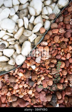 Rahmen voller dekorativer brauner und weißer Steine. Textur. Hintergrund. Geometrie. Stockfoto