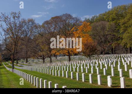 Arlington National Cemetery im Herbst, Washington, DC Stockfoto