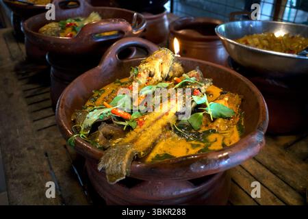 Mangut Lele, leckerer Wels-Eintopf mit gelber Sauce, scharfes Wels-Curry mit Kokosmilch auf einer Tonpfanne. Stockfoto