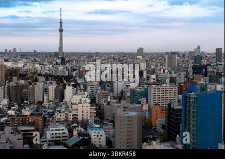 Panoramablick auf den Skytree von Tokio mit endloser urbaner Ausdehnung der Metropolstadt Tokio, von oben aus gesehen vom Büro der Stadt Bunkyo Ward, Japan. Stockfoto