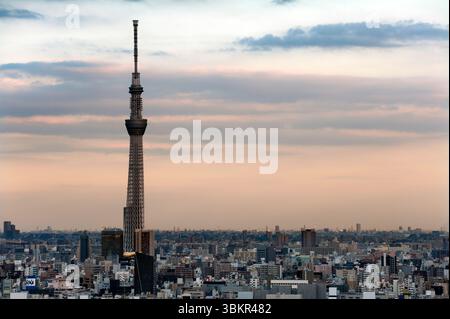 Panoramablick auf den Skytree von Tokio mit endloser urbaner Ausdehnung der Metropolstadt Tokio, von oben aus gesehen vom Büro der Stadt Bunkyo Ward, Japan. Stockfoto