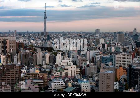 Panoramablick auf den Skytree von Tokio mit endloser urbaner Ausdehnung der Metropolstadt Tokio, von oben aus gesehen vom Büro der Stadt Bunkyo Ward, Japan. Stockfoto
