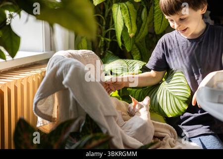 Glückliches Kind mit Sphynx-Katze in der Nähe des Fensters im grünen Garten mit gemütlicher Decke und Sonnenlicht Stockfoto