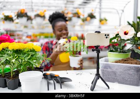 Frau Filmt Ein Gartenvideo Stockfoto