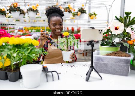 Gardening Video: Ein Ringelblumen Pflanzen Stockfoto