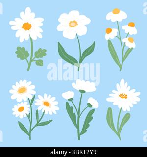 Kamillenblumen-Sammlung auf blauem Hintergrund. Set aus flachen Gänseblümchen mit verschiedenen Arten von Gänseblümchen für Textilien, Stoffe, Dekor, Hochzeit Stock Vektor