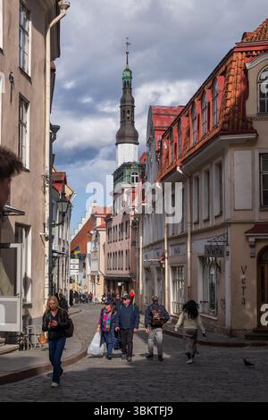 Tallinn, Estland - 14. Mai 2025: Menschen auf Kopfsteinpflasterstraßen in der historischen Altstadt der Hauptstadt. Stockfoto